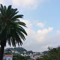 ブログ画像